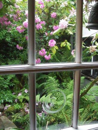 Window
