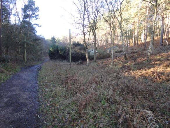 Track leading to Forest House