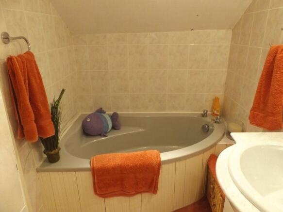 Photo 11