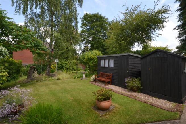 garden 3.jpg