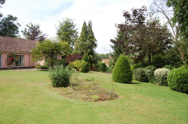 Photo 5