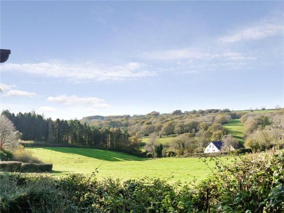 View From Garden