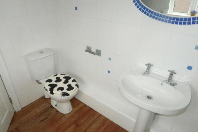 Photo 10