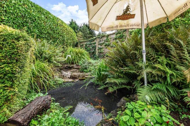 Garden at Back