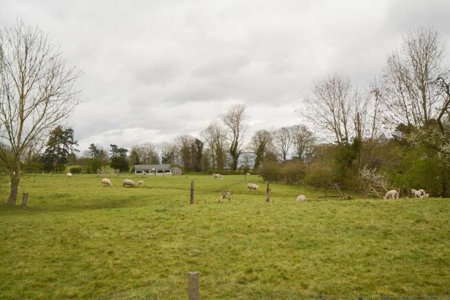 The View from Garden.jpg