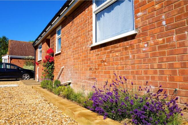 Front Garden