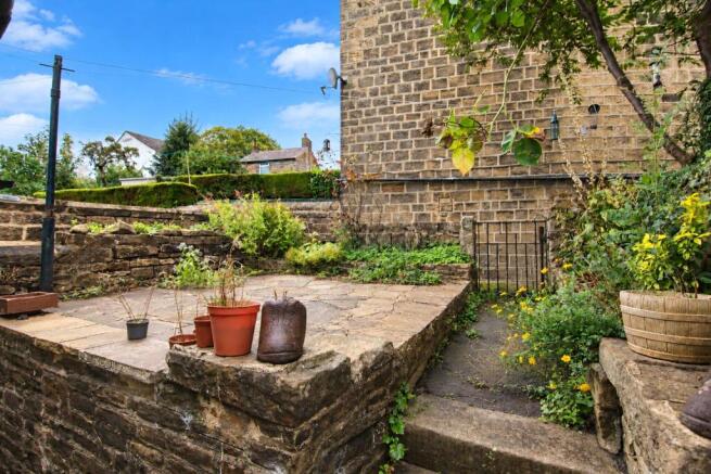 Rear Yard