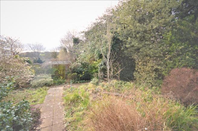Garden 2.jpg