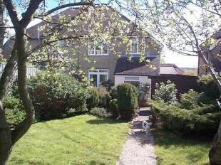 Rear of Property 02