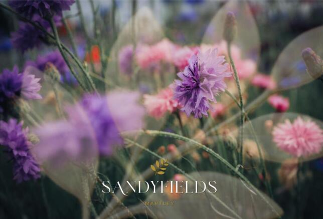 Sandyfields Flowers
