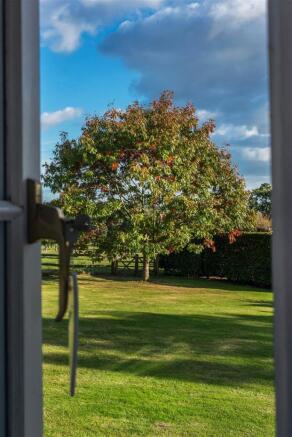 house. estate agent Rudgwick tree