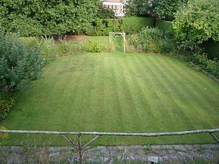 Photo 28