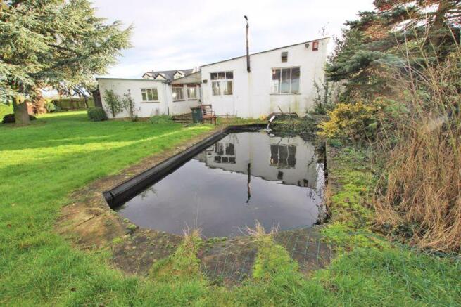 Pond