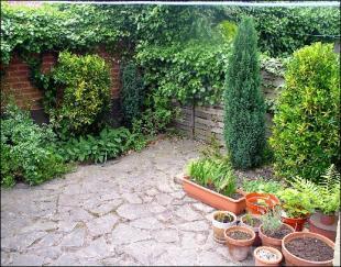 Rear Court Yard