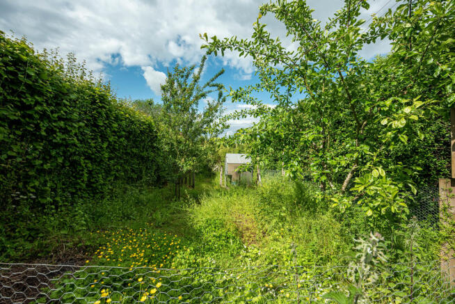 Photo 26