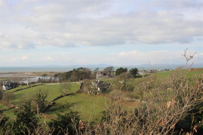 View from top garden