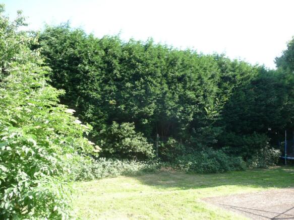 Communal Gardens