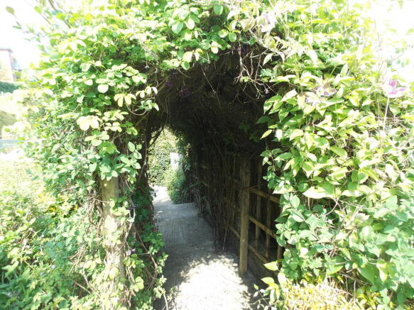 Photo 10