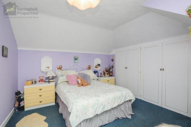 IMAGE 7