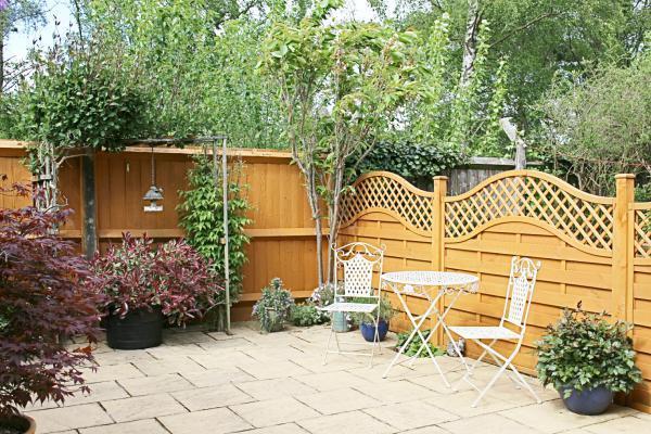 Garden at Back