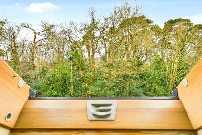 Woodland Views