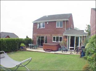 Rear Elevation