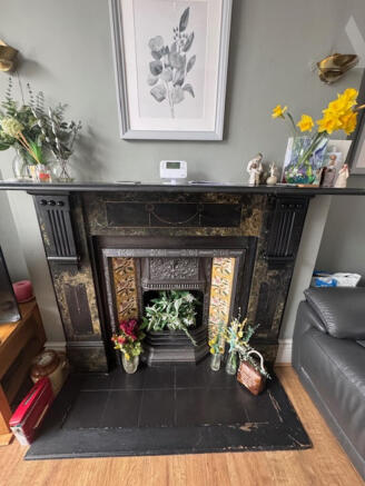 28 Vicarage Road Feature fireplace.jpeg