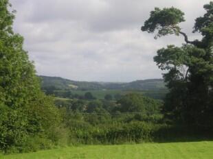 View from Paddock