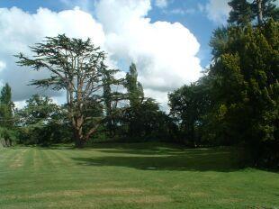 Grounds