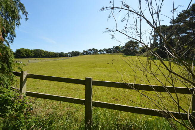 Field View to Rea...