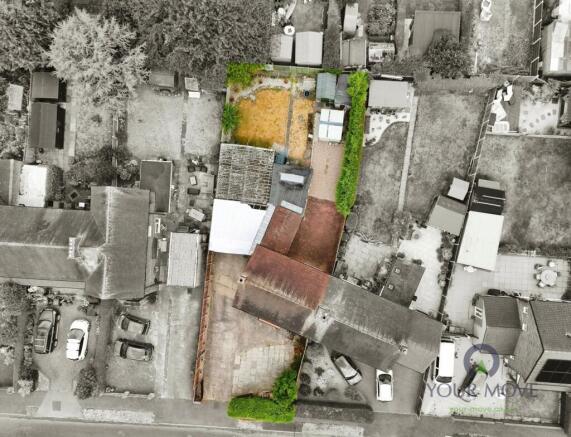 Plot View