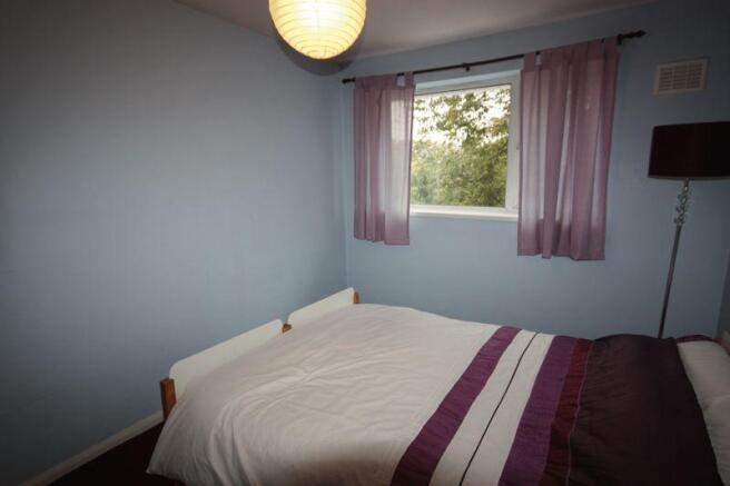 Photo3