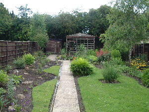 Photo 4