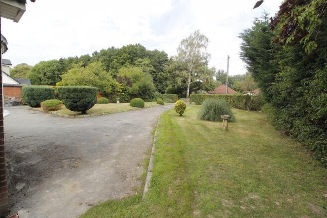 Side Garden/Driveway