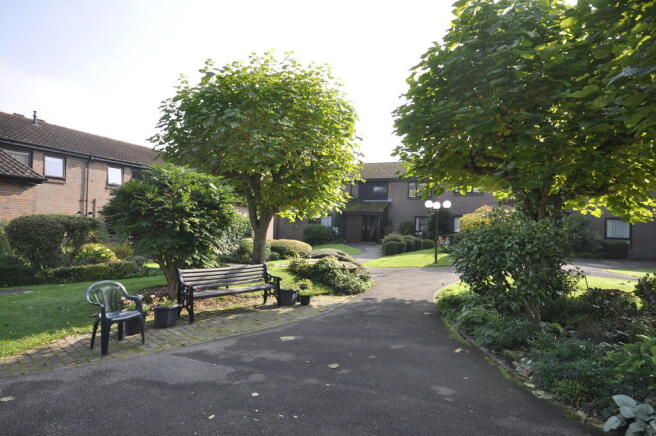 Photo 6