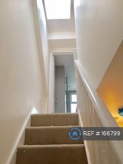 Loft Skylight