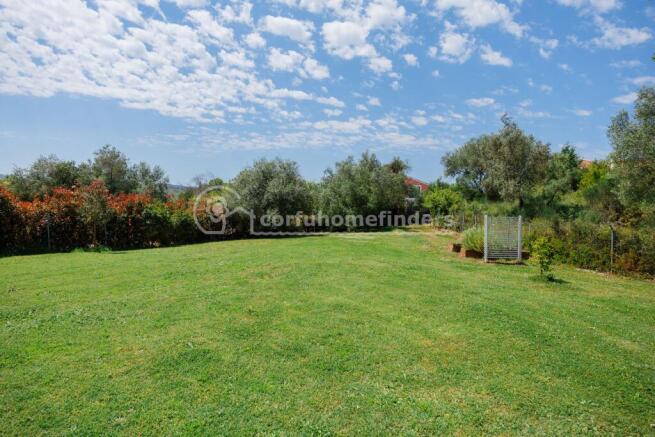 Back garden 
