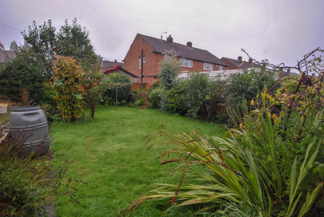 Garden3_edited