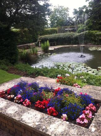 Rear Gardens