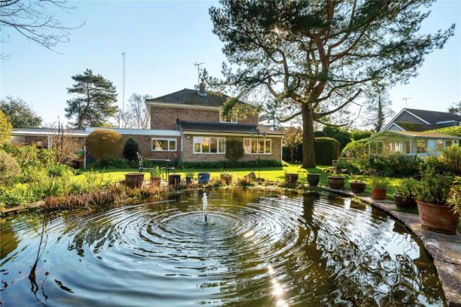 Garden & Pond