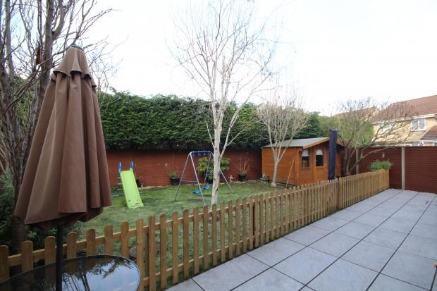 Photo 11