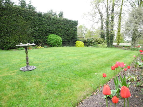Photo 15