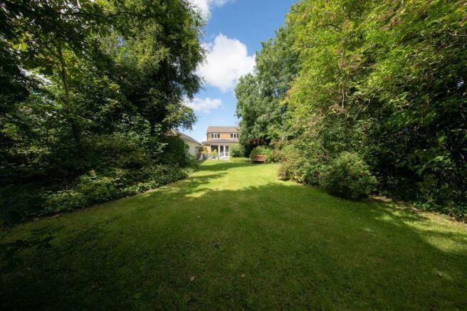 Mature garden