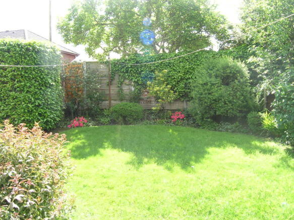 back garden