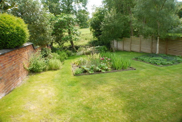 Photo 31