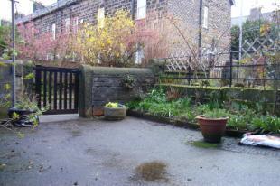Back Garden