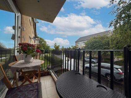Wylie Street, Hamilton, ML3