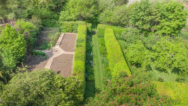 Vegetable Plot
