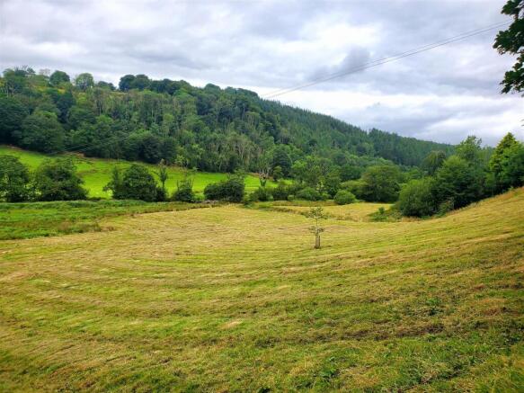 The land