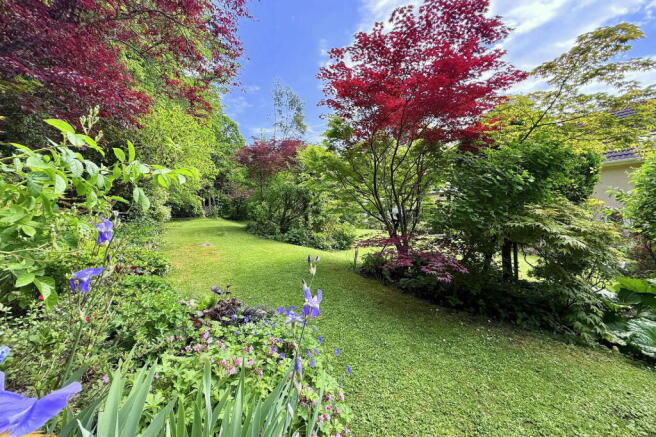 Photo 23